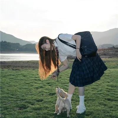 长颈鹿扎拉法
